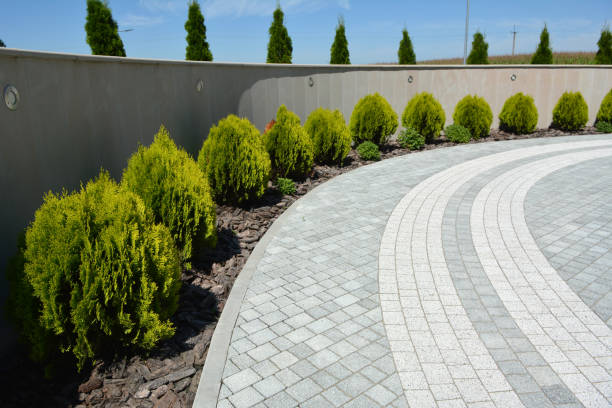 Best Driveway Pavers Cost  in Strafford, MO